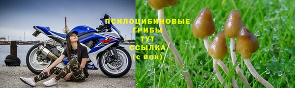 амфетамин Алексин