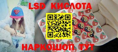 гидропоника Рыбинск
