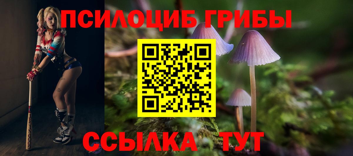 Советская Гавань  Галлюциногенные грибы MAGIC MUSHROOMS  Вход с VPN  Галлюциногенные грибы Magic Shrooms 